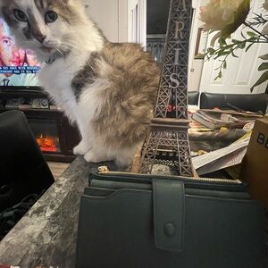 Chic Dark Green Wallet